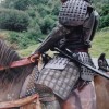 Horse 1