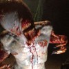 Ash vs Evil Dead 1 of 1