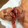 Shannara 1 1 of 2