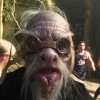 Shannara 1 3 of 3